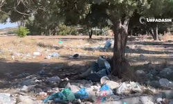 Şanlıurfa Bozova Atatürk Barajı Kıyısında Büyük Çelişki !