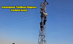 Şanlıurfa'da Korku Dolu Anlar: Çıktığı Direkte Akıma Kapılarak Asılı Kaldı