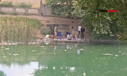 Şanlıurfalıların Piknik Merkeziydi: Edene Culap Gölü Çöpten Geçilmiyor