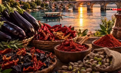 Şanlıurfa Birecik’te Festival Coşkusu Başladı!