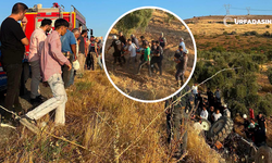 Şanlıurfa'da Fıstık Toplamaya Giden İşçileri Taşıyan Traktör Devrildi