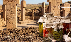Göbeklitepe Toprağı İnsanlığa Şifa Olacak