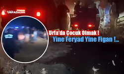 Şanlıurfa Viranşehir’de 10 Yaşındaki Çocuk Gölette Boğuldu