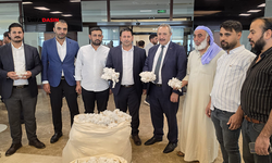 Şanlıurfa’da Sezonun İlk Kütlü Pamuğu Açık Artırmayla Satıldı