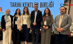 Viranşehir'den, Tarihi Kentler Birliğinden Destek Talebi
