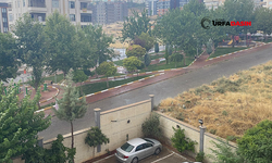 Şanlıurfa'da Yer Yer Yağmur ve Fırtına Etkili Oldu