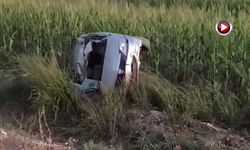 Şanlıurfa'da Otomobil Tarlaya Devrildi: 3 Yaralı