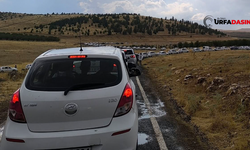 Şanlıurfalılar, TEKNOFEST'in Son Günü Alana Akın Etti: Trafik Kilit !