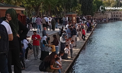 Balıklıgöl ve Aynzeliha Gölüne Ziyaretçi Akını