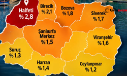 Şanlıurfa İlçelerinde Boşanma Oranlarını Gösteren İşte O Harita