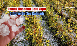 Şanlıurfa Viranşehir'de Dolu Yağışı Ekili Alanlara Büyük Zarar Verdi