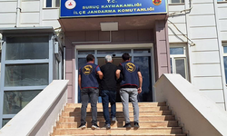 Şanlıurfa'da Silahlı Yağma Suçlusu Hükümlü, Jandarma Ekiplerince Yakalandı
