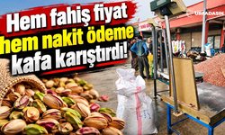 Fıstığınızı Hem Daha Pahalıya Satın Alıyor Hem de Peşin Ödüyor