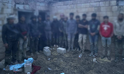Şanlıurfa'da Göçmen Kaçakçılığı Operasyonlarında 68 Kişi Yakalandı