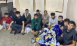 Şanlıurfa'da Sınırdan Kaçak Giriş Yapan Göçmenler Yakalandı