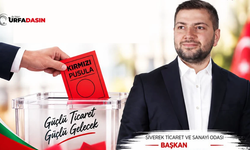 Siverek Ticaret ve Sanayi Odası Başkanlığına Mustafa Hakkı Bucak Seçildi