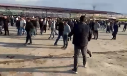 Şanlıurfa'da İlçenin Hayvan Pazarında Sopalı Kavga: 1 Yaralı
