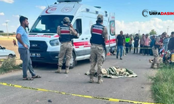 Şanlıurfa Akçakale’de Feci Kaza: İki Genç Hayatını Kaybetti