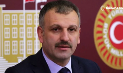 Cumhurbaşkanı Danışmanı Oktay Saral, Görevden Alındı