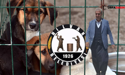 DEM Partili Hilvan Belediye Başkanı Serhan Paydaş'a Hayvan Barınağı Soruşturması