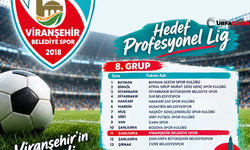 Viranşehir Belediye Spor, Güneydoğu Grubu’nda Yer Aldı! Hedef Profesyonel Lig