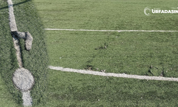 Viranşehir Stadının Halini Görüyorsunuz... Burada Futbol Oynanır Mı?
