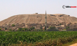 Şanlıurfa'nın İşte En Büyük Höyüğü: Ona Tepelerin Sultanı Deniyor