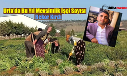 Şanlıurfalı Mevsimlik Tarım İşçilerin Bitmeyen Çilesi: 500 Bin TL Alacakları İçin Bakanlığa Çağrı