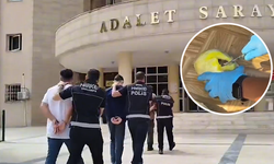Şanlıurfa'da Araçta Ele Geçirildi: 2 Zanlı Tutuklandı
