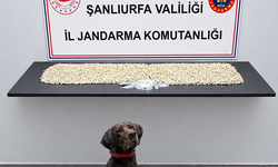 Şanlıurfa'da Bir Evde Binlerce Ele Geçirildi: 1 Gözaltı