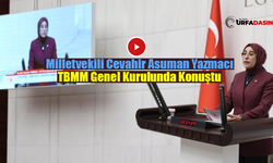 Yazmacı: Tarihin Sıfır Noktasından Geleceğin Zirvesine Uzanan Yol Şanlıurfa’dan Geçti