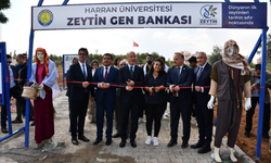 Harran Üniversitesi’nde Zeytin Gen Bankası Açıldı