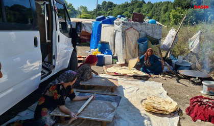 Şanlıurfalı Mevsimlik Tarım İşçilerinin Zonguldak'ta Yaşam Mücadelesi