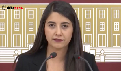 Urfa Milletvekili Dilan Kunt Ayan’dan Viranşehir’de Toptancılar Sitesi İçin Soru Önergesi