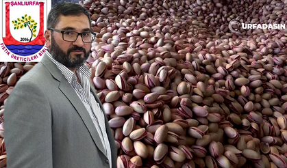 İran'dan Kaçak Yollarla Getirilen Fıstık İç Piyasayı Vuruyor!