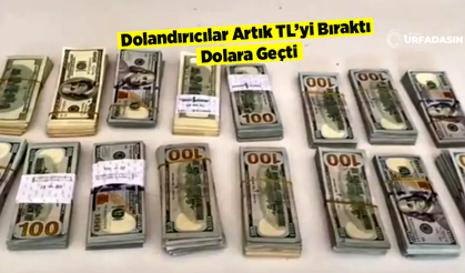 Ankara'da Dolandırdı Şanlıurfa'da Ticari Takside 155 Bin Dolarla Yakalandı