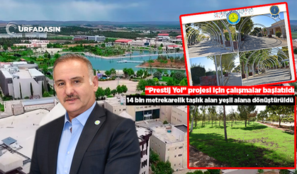 Harran Üniversitesi Osmanbey Kampüsü Her Geçen Gün Güzelleşiyor