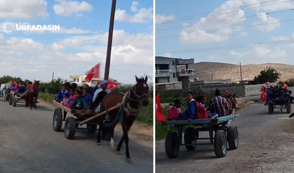 Şanlıurfa'da At Arabasıyla Taşımalı Eğitim