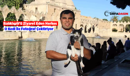 Balıklıgöl'de Kalp Masajıyla Hayata Döndürülen Kedi İlgi Odağı Oldu