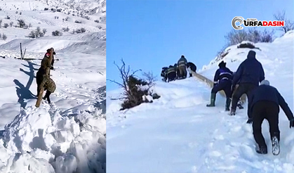 Dicle Elektrik Ekipleri, Zorlu Kış Şartlarında Görev Başında