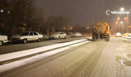 Viranşehir Belediyesinden Karla Mücadelede Erken Müdahale