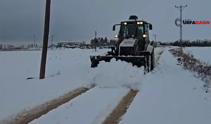 Viranşehir'deki Karla Mücadeleye ŞUSKİ de Destek Verdi