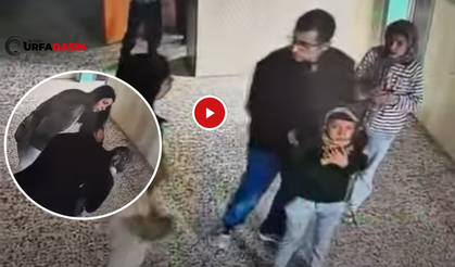 Şanlıurfa Harran'da Nefes Kesen Olay !