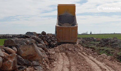 Aşağı Sarpın’da Stabilize Yol Çalışması: Başkan Serhat Dicle İnan Talimat Verdi