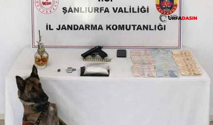 Şanlıurfa’da Zehir Taciri, Narkotik Madde ve Silahla Yakalandı