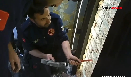 Şanlıurfa'da Duvara Sıkışan Kediyi İtfaiye Kurtardı