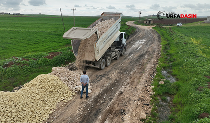 Şanlıurfa Kırsalında Yollar Yenilenerek Daha Güvenli Oluyor