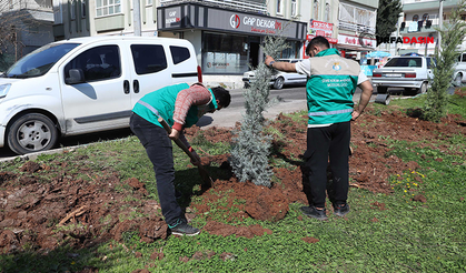 Haliliye’de Baharla Birlikte Parklarda Hummalı Çalışma Başlatıldı