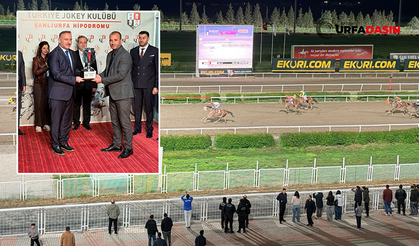 Şanlıurfa'da Harran Üniversitesi Koşusu’nu Kazanan At Belli Oldu