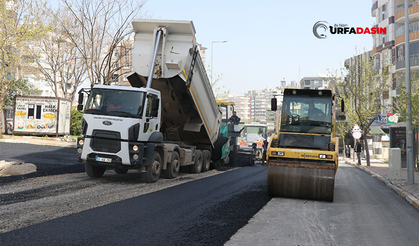 Şanlıurfa'da Mustafa Direkli Caddesi’nde Sıcak Asfalt Çalışması Tamamlandı